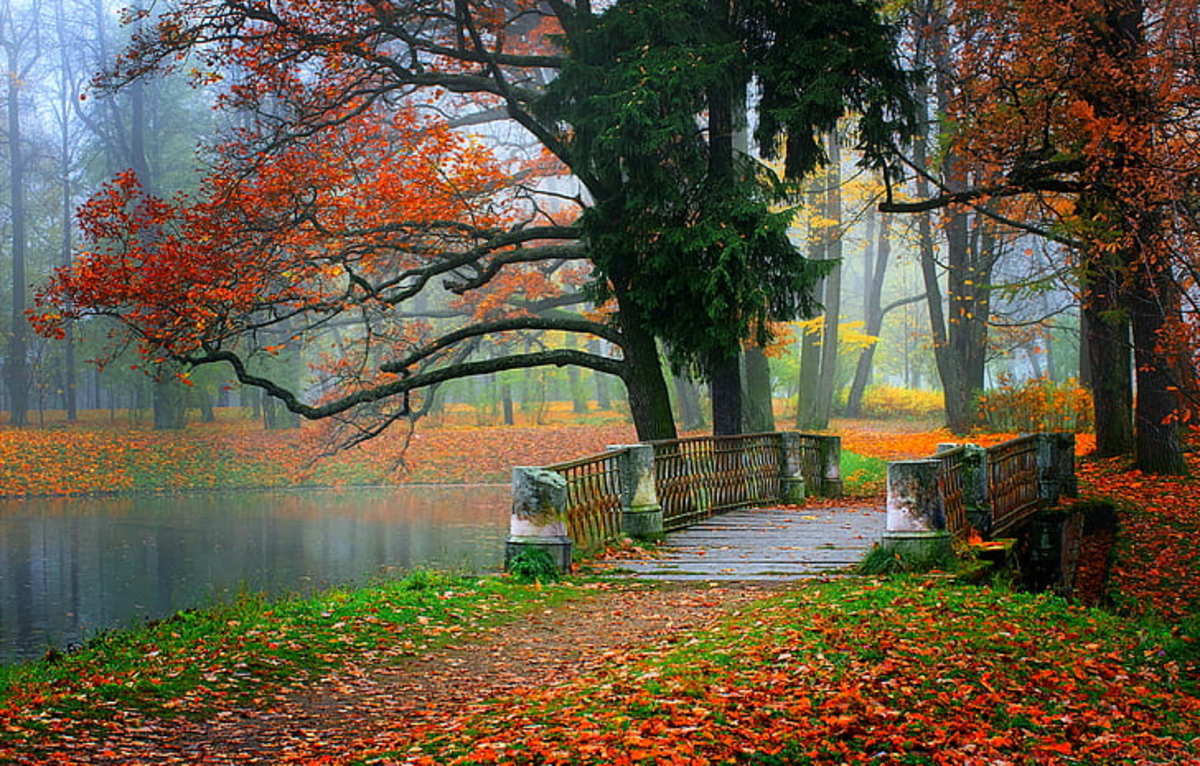 autumn-my-love-memories