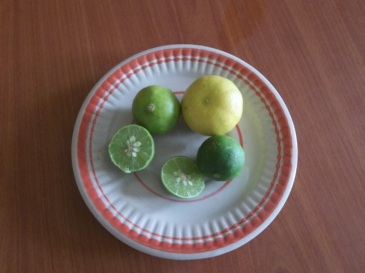 Lime Fruits
