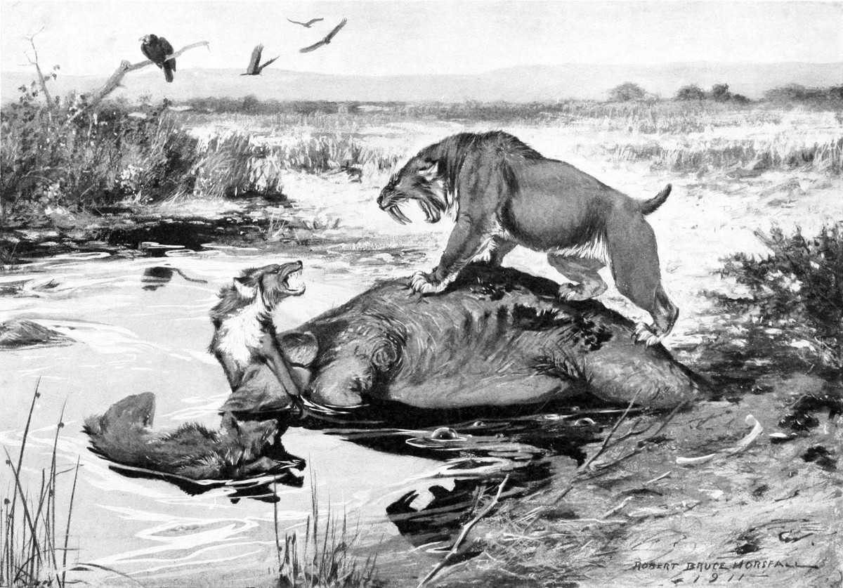A dire wolf and a sabretooth cat fight over a mammoth carcass.