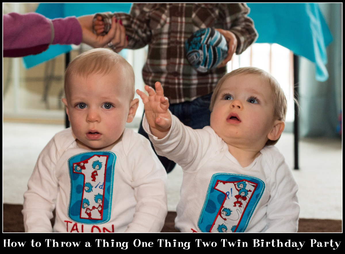 How to Throw a Thing One Thing Two Twin Birthday Party