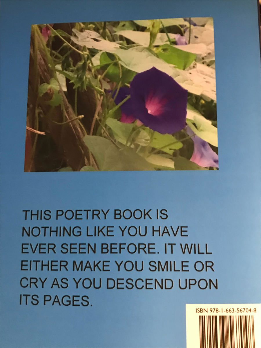 This is the back cover of one of my books.