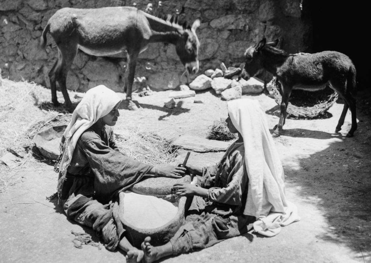 sapien-stories-bedouins