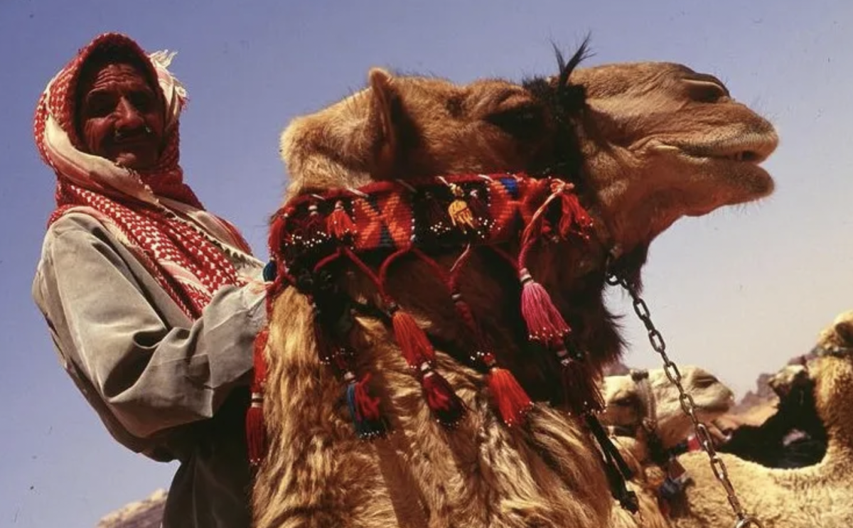 Sapien Stories: Bedouins of the Middle East