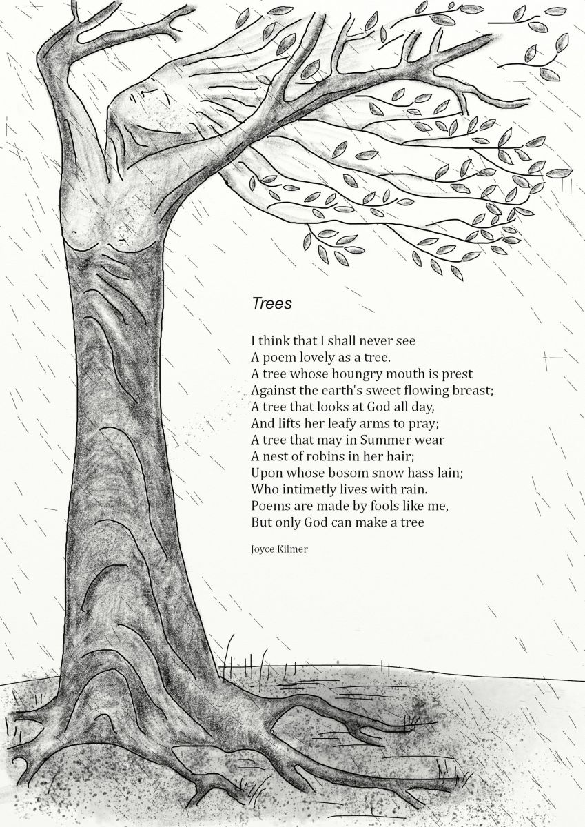 The Poem, "Trees," by Joyce Kilmer