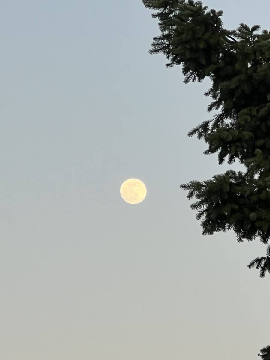 Full Moon at dusk. 