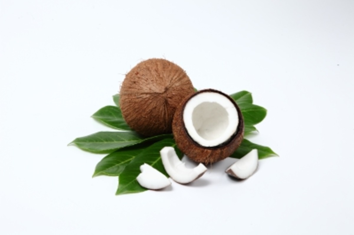 the skin loves coconut oil and it is incorporated in many homemade skin and beauty products.