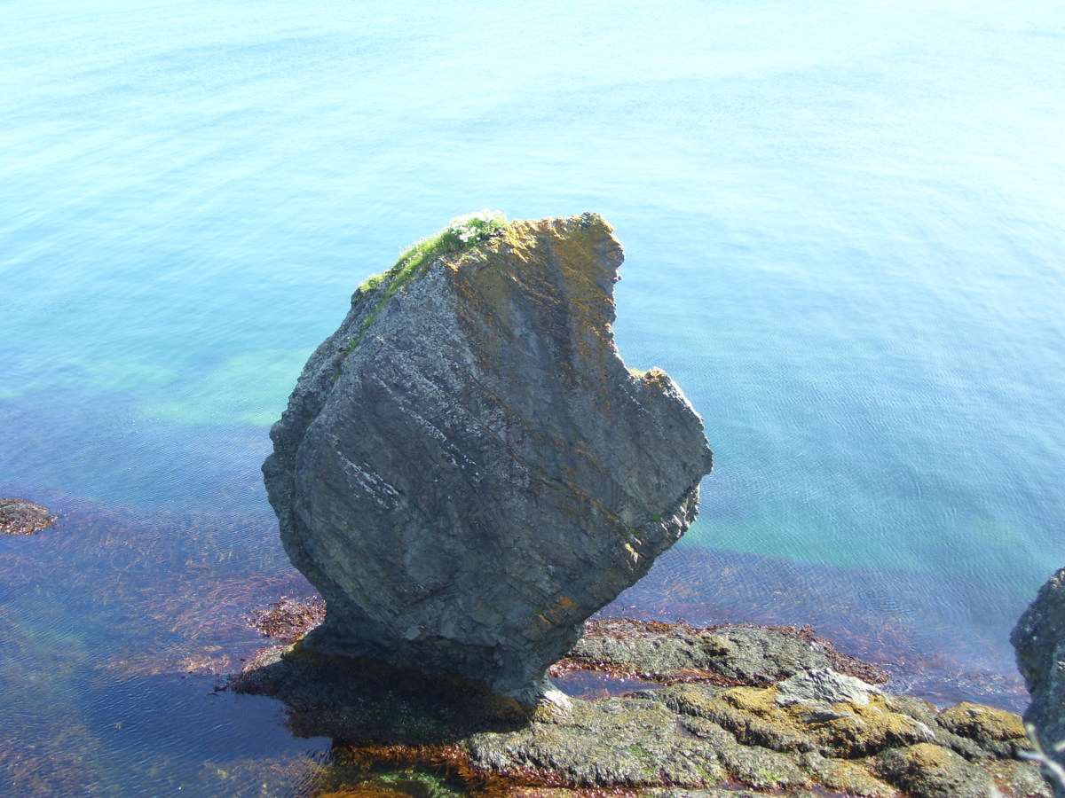 Sea stack known as "flat fish" due to its unique shape.
