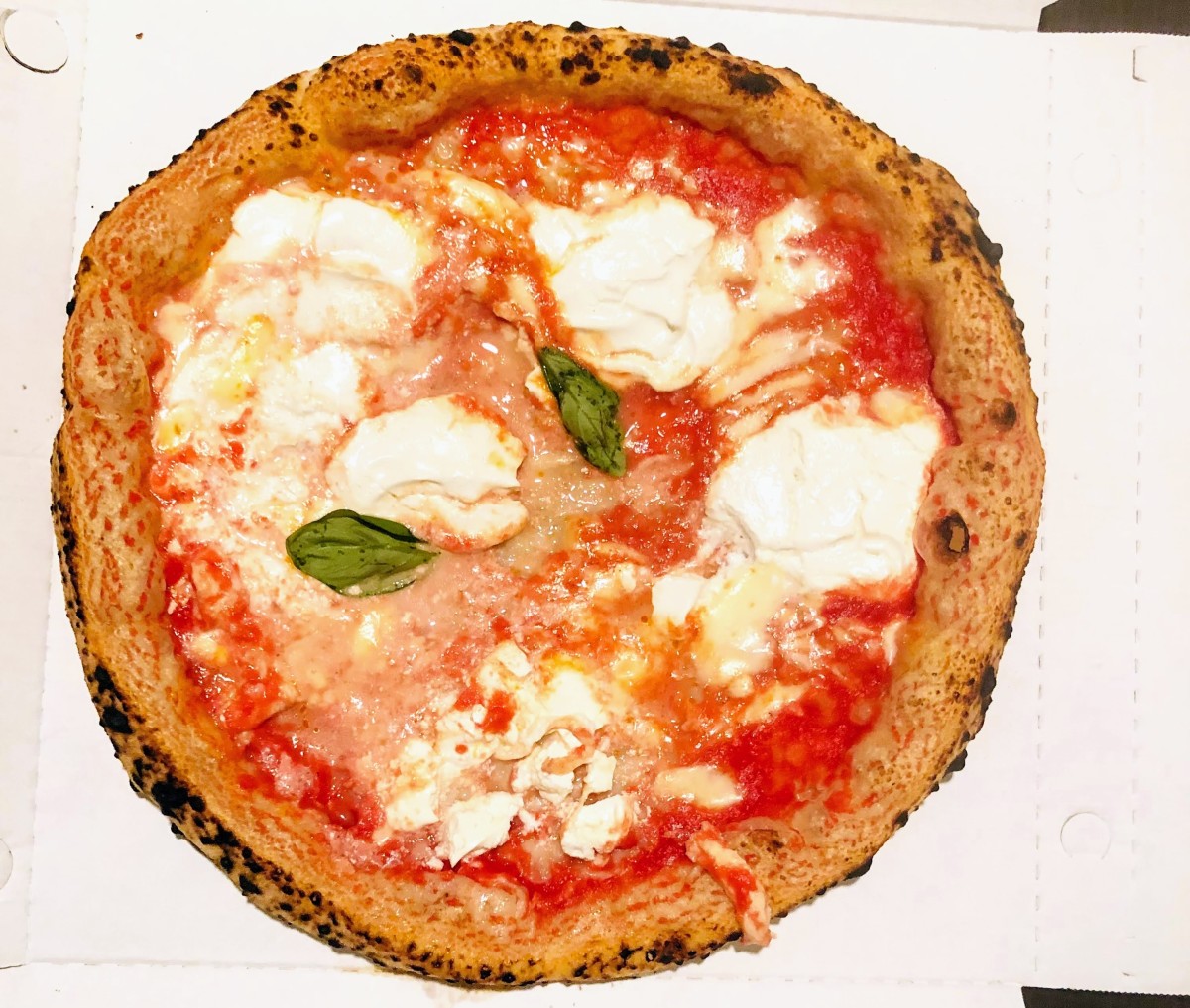A wood-oven baked Italian-style pizza, topped with tomato sauce, mozzarella cheese, and basil.