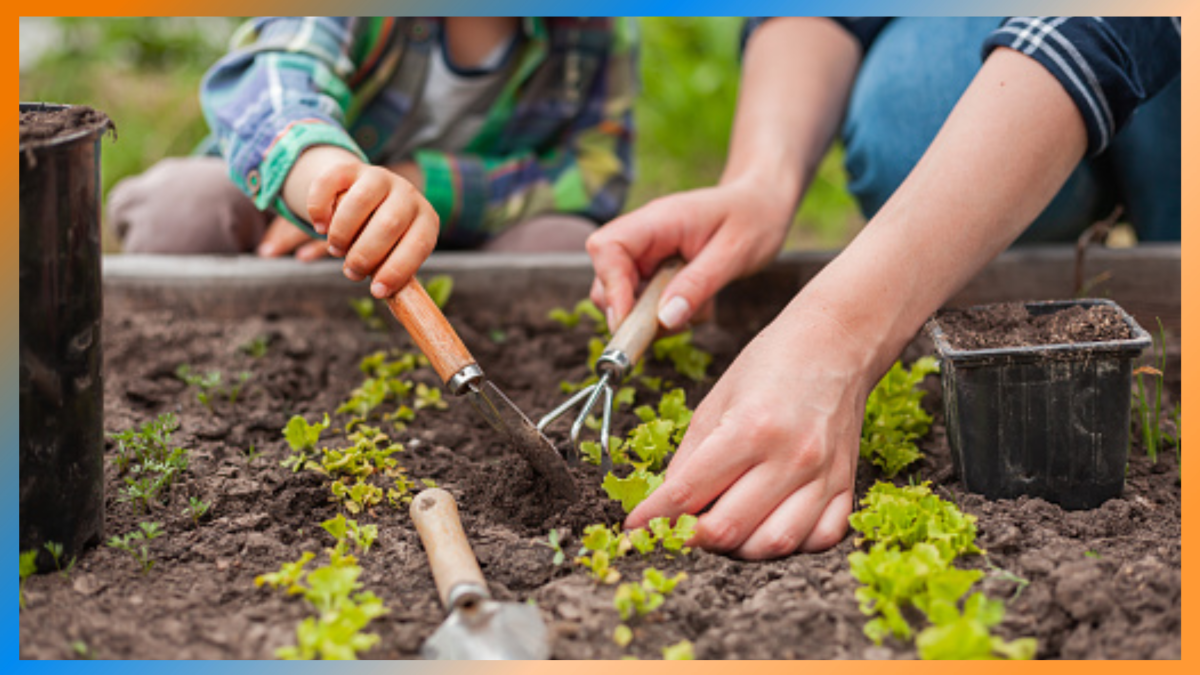 how-gardening-can-help-improve-your-mental-health