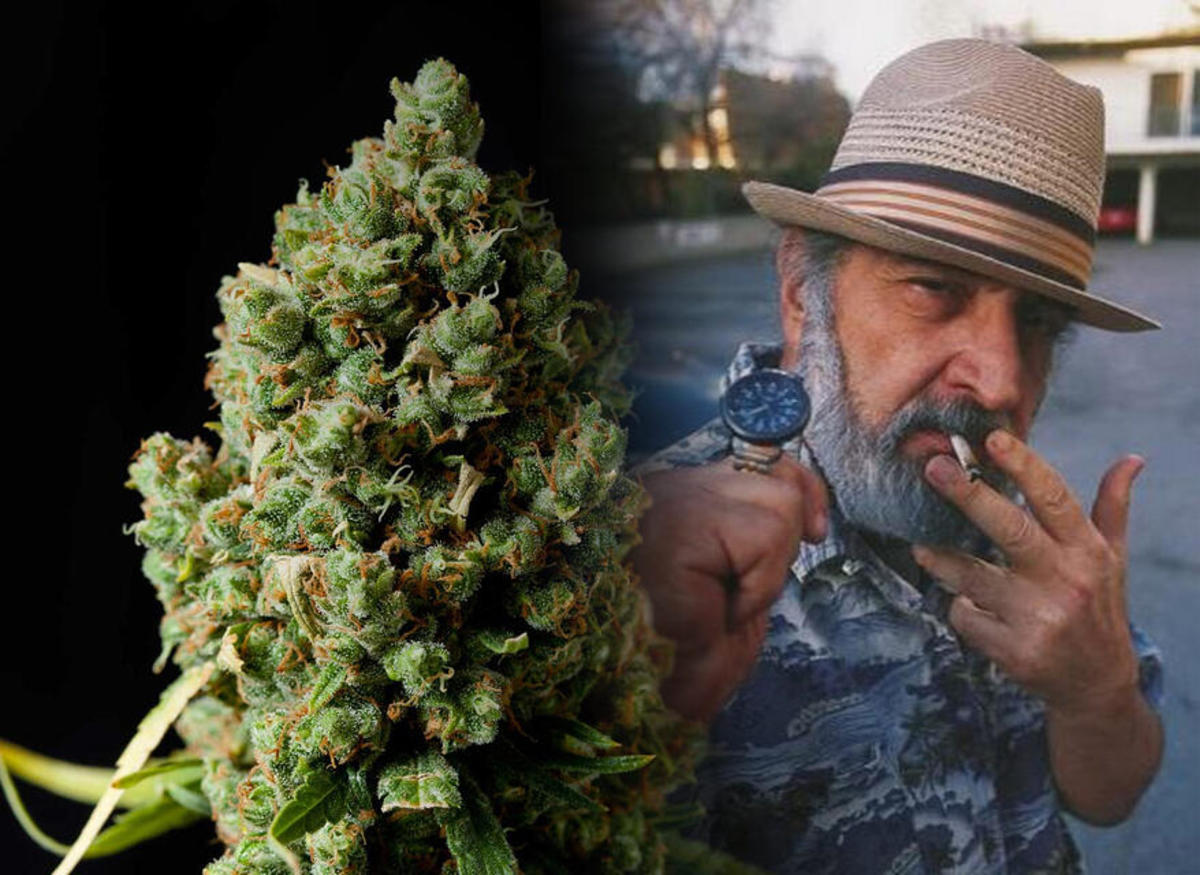 Who Was Jack Herer