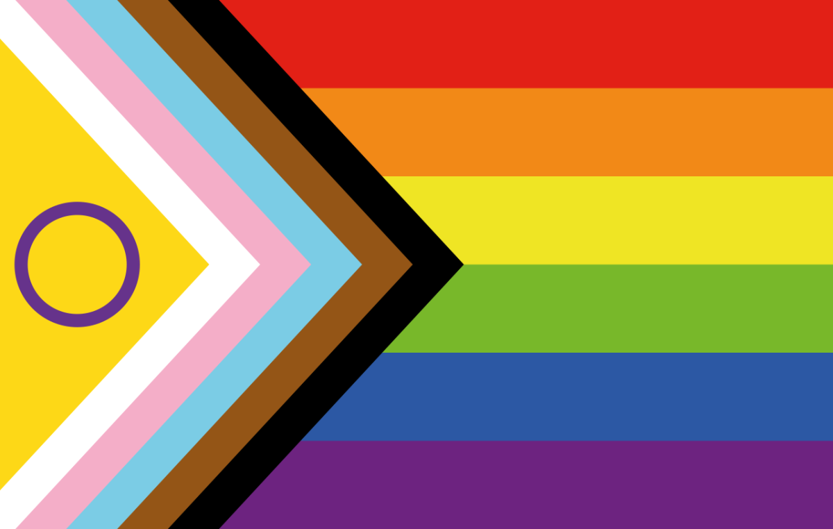 This flag includes intersex, Transgender, and BIPOC in the LGBTQIA+ community.