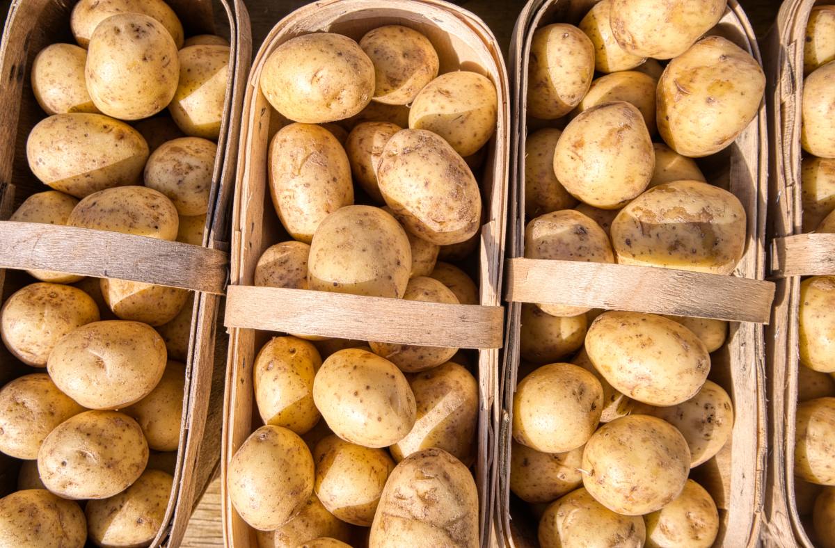 The Origin of Potatoes