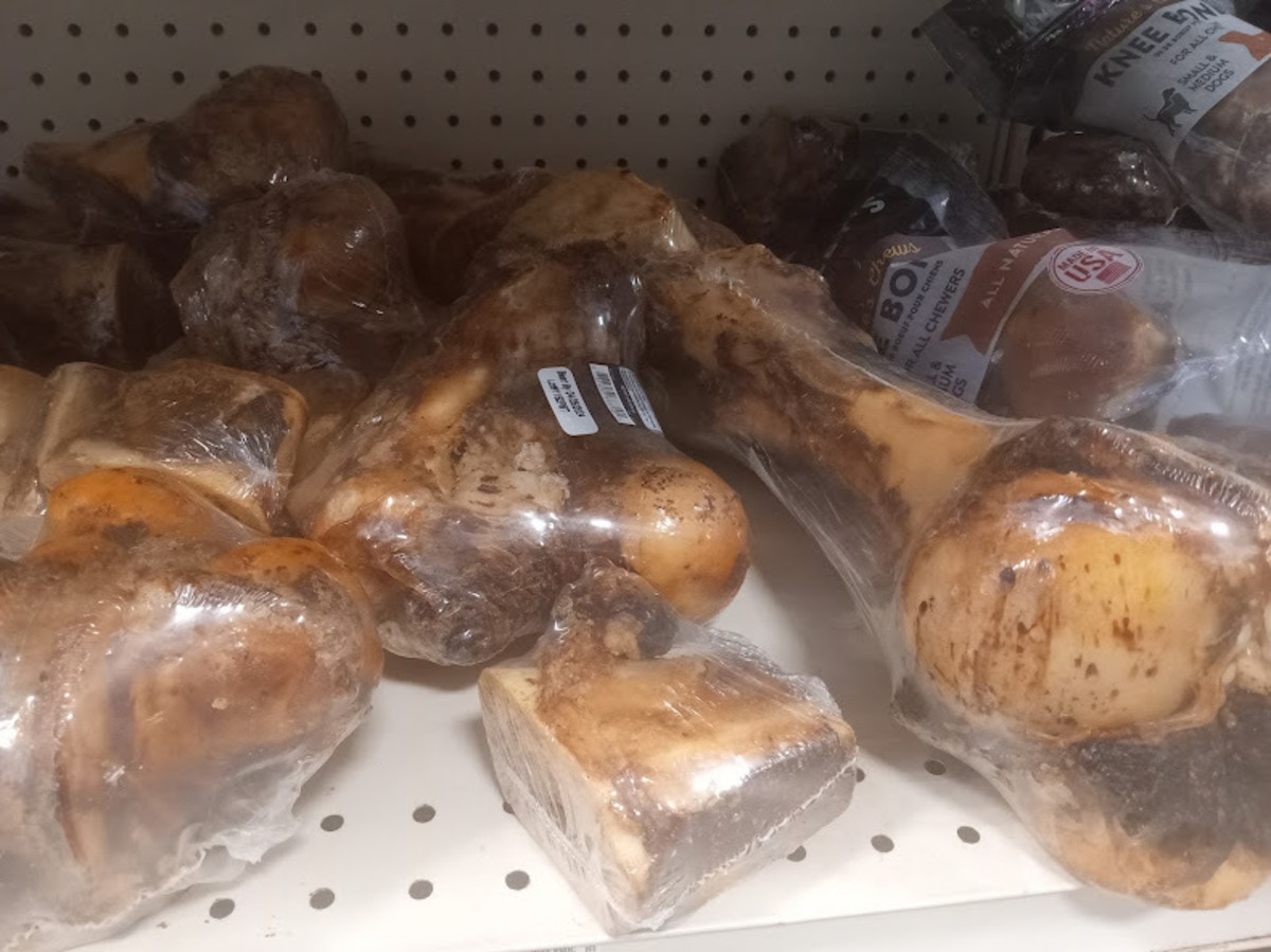 10 Chews and Treats to Keep Your Dog Busy and Calm PetHelpful