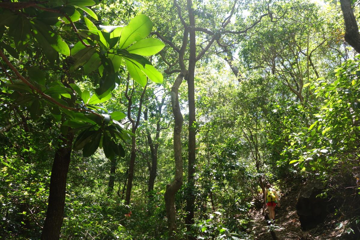 Free: Libano Waterfall in Costa Rica (Near Lake Arenal)