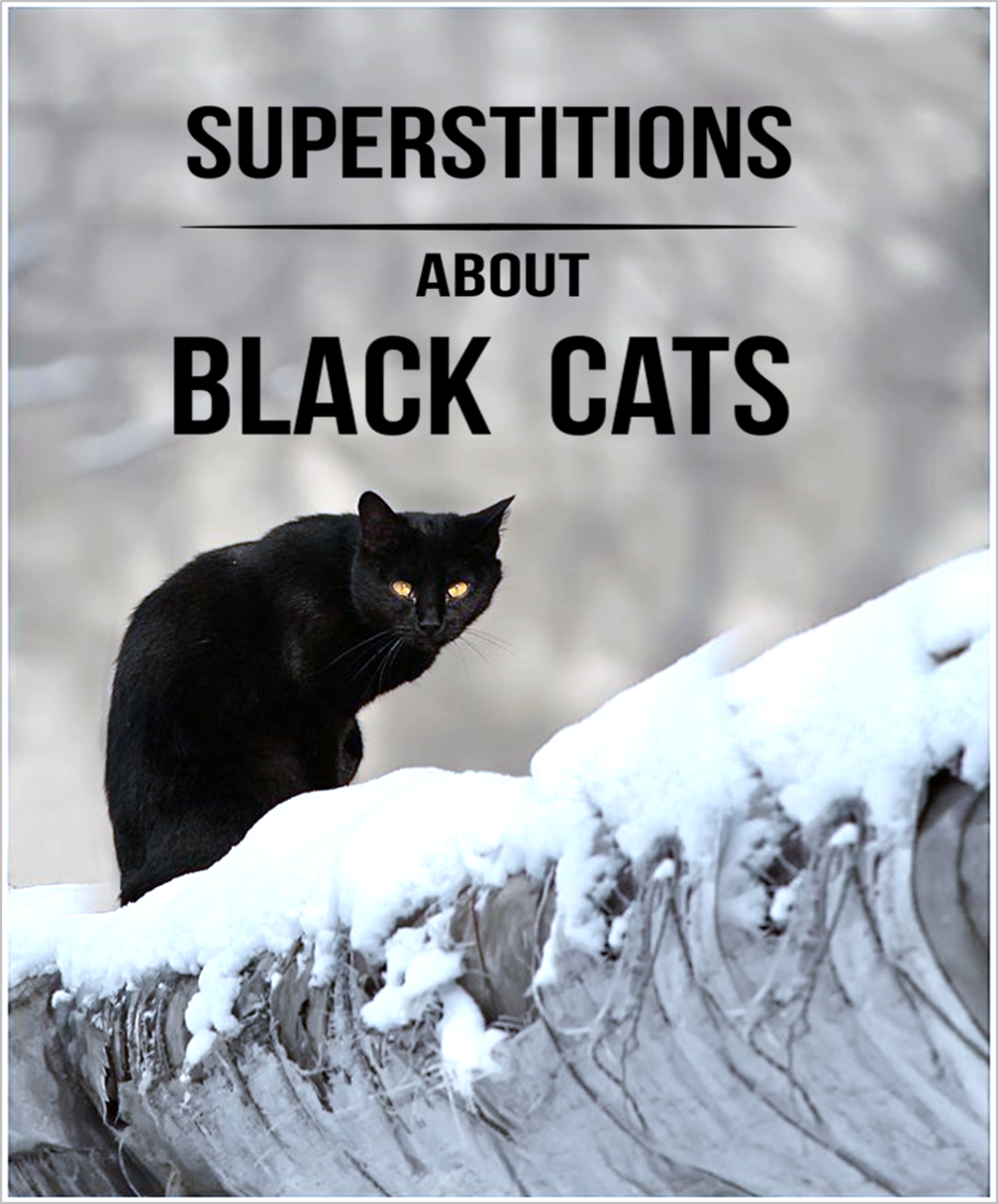 20 Superstitions About Black Cats