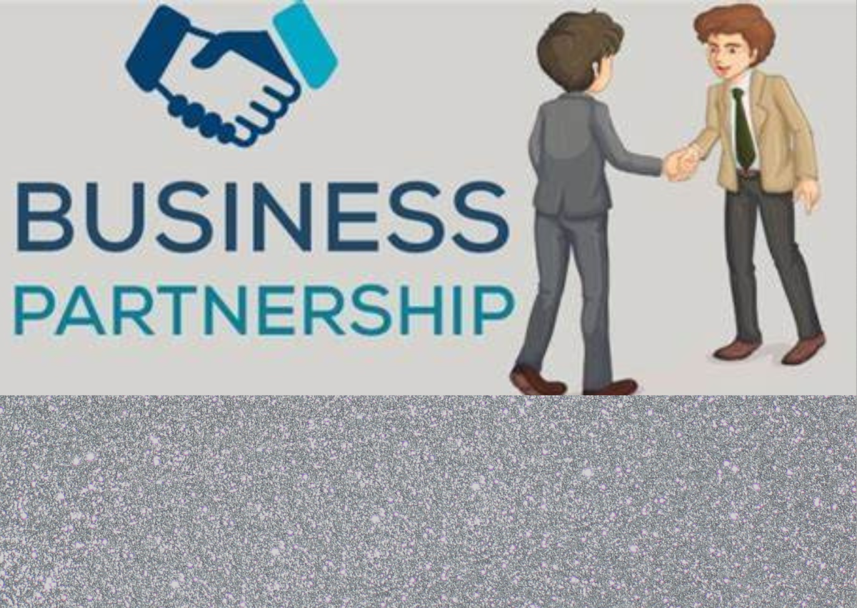 *What are the advantages of having a business partner?