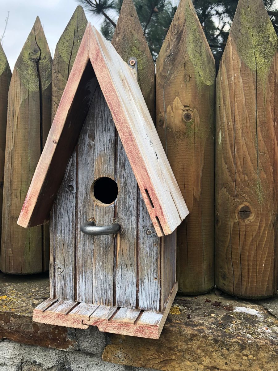 Easy Ways For You to Look Like a Genius of a Birdhouse Builder