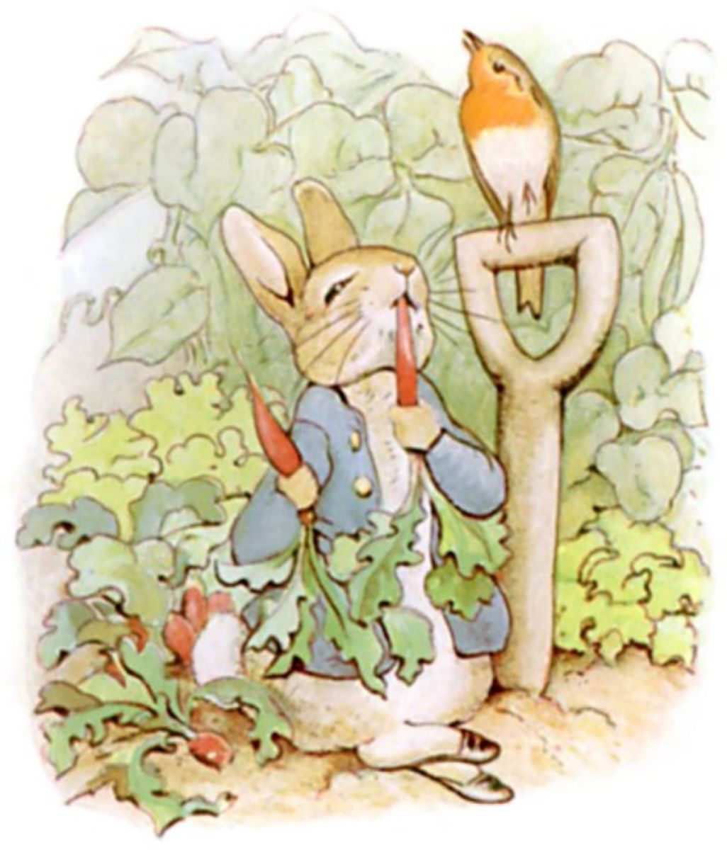 Arguably Beatrix Potter's best known character Peter Rabbit, here he's helping himself to Mr. McGregor's carrots. 