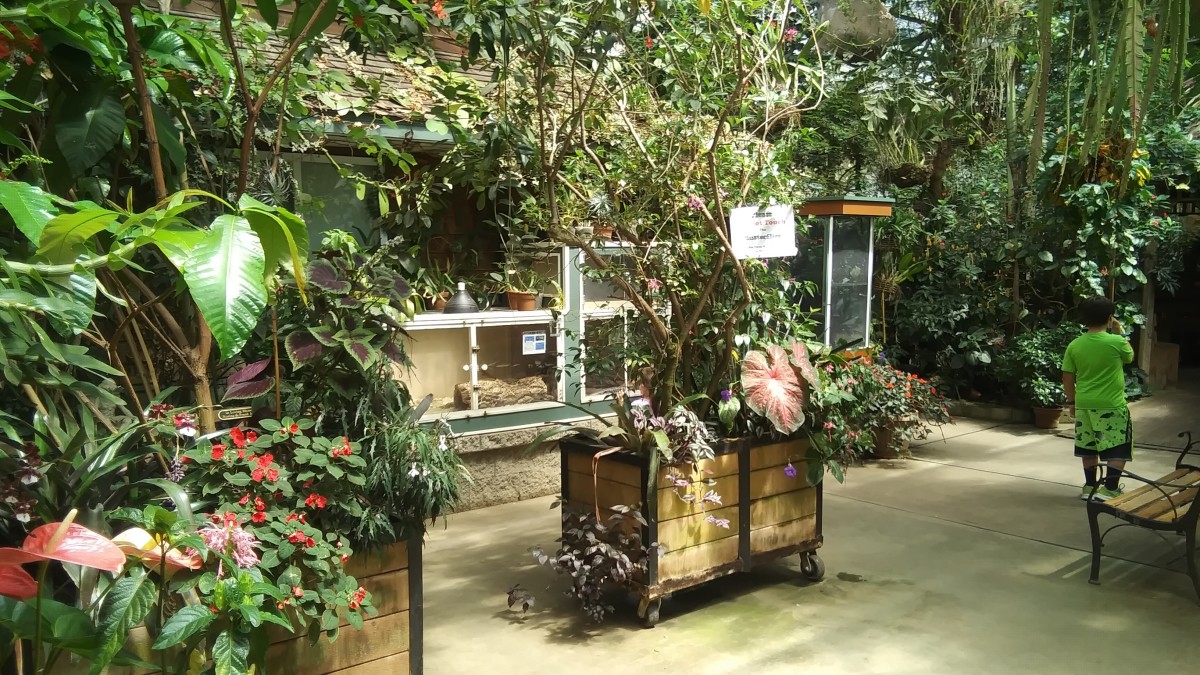 Inside the conservatory