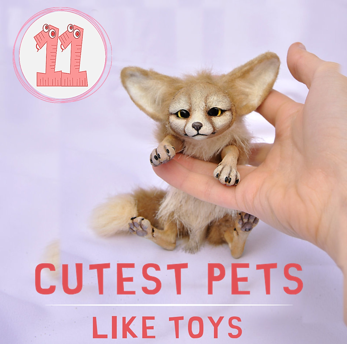 11 Cutest Exotic Pets Like Toys