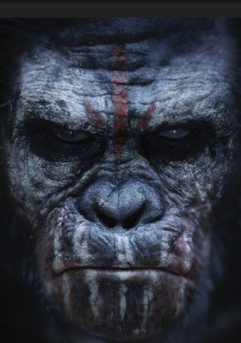 planet-of-the-apes-a-trilogy-of-new-films-is-planned