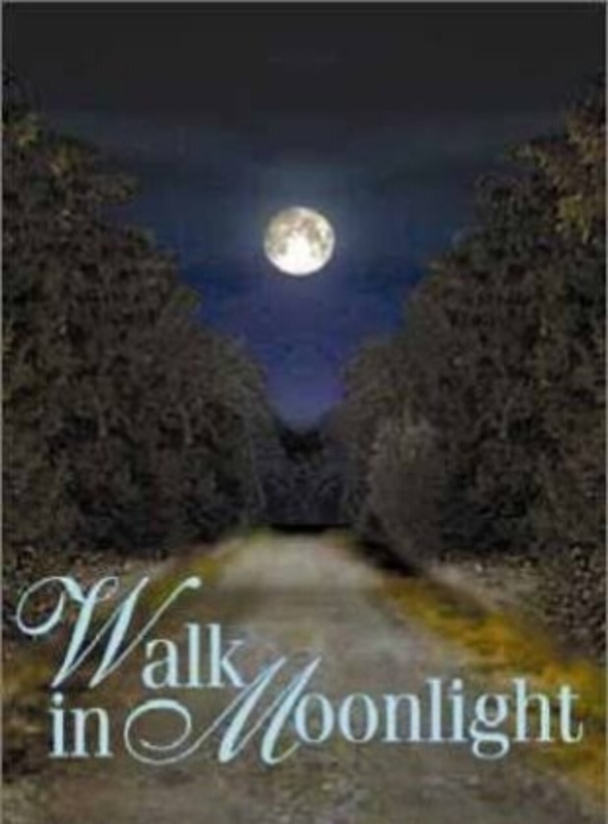 Walk In  Moonlight