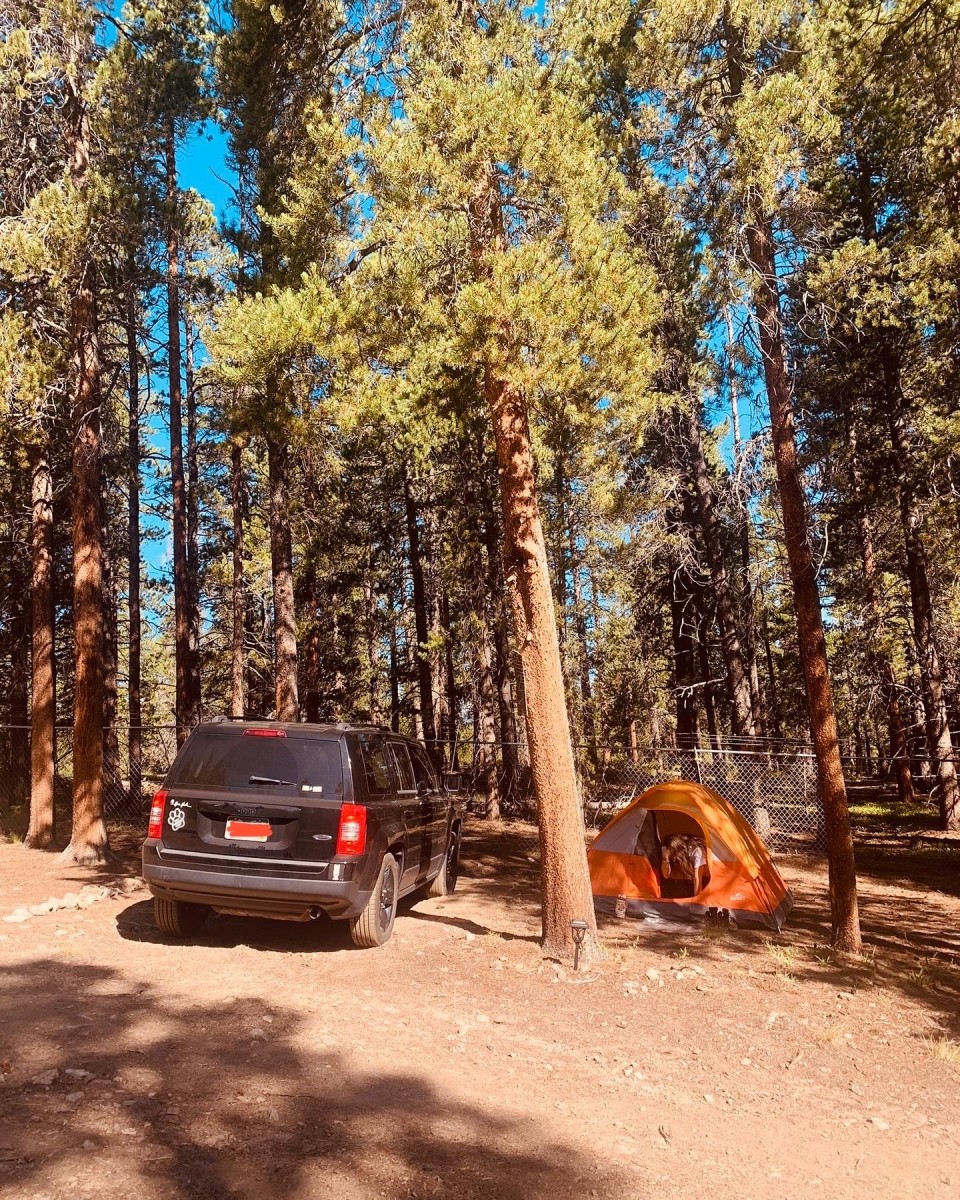 This was our campsite at Golden Gate Canyon State Park! 