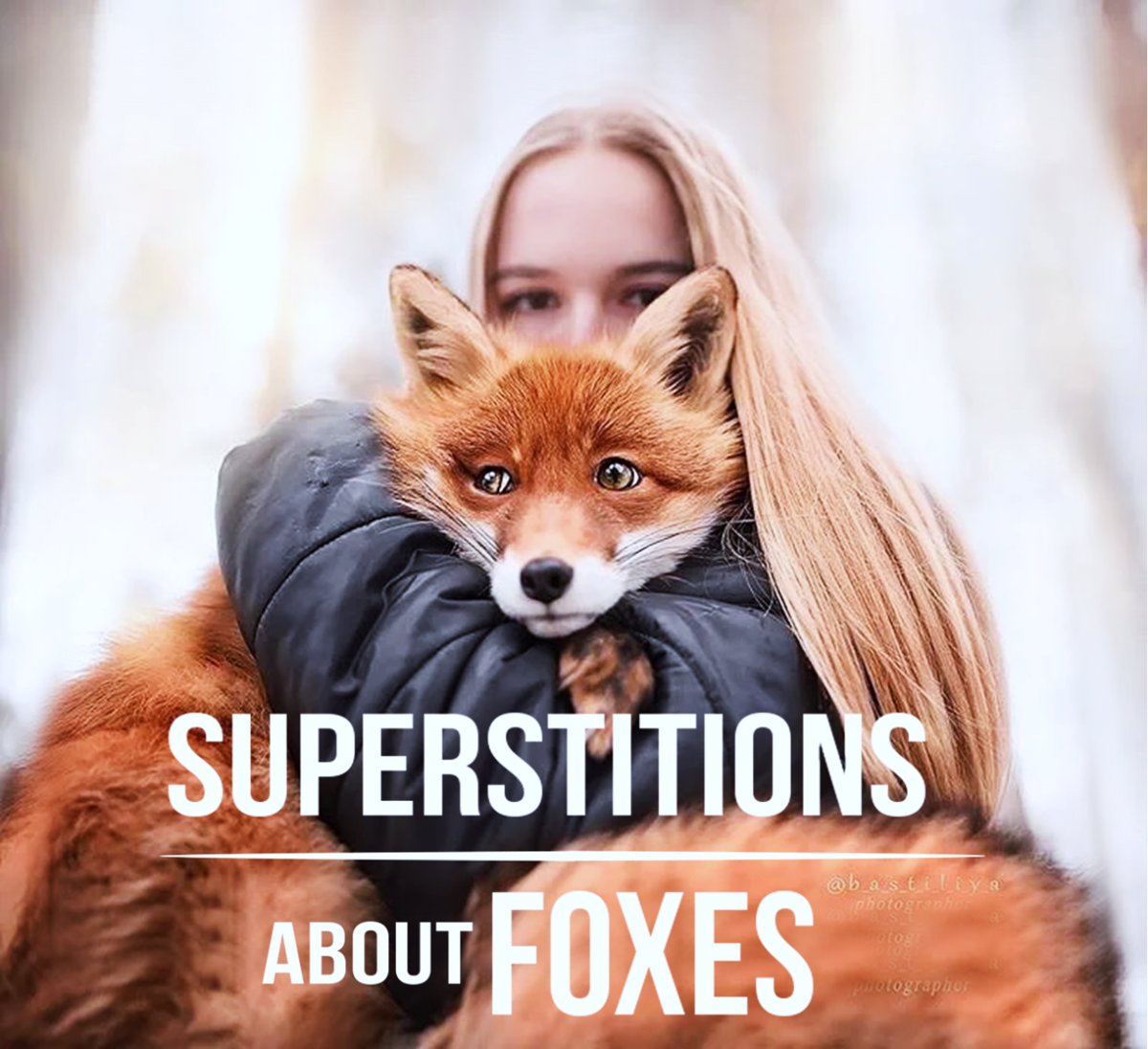 10 Superstitions About Foxes