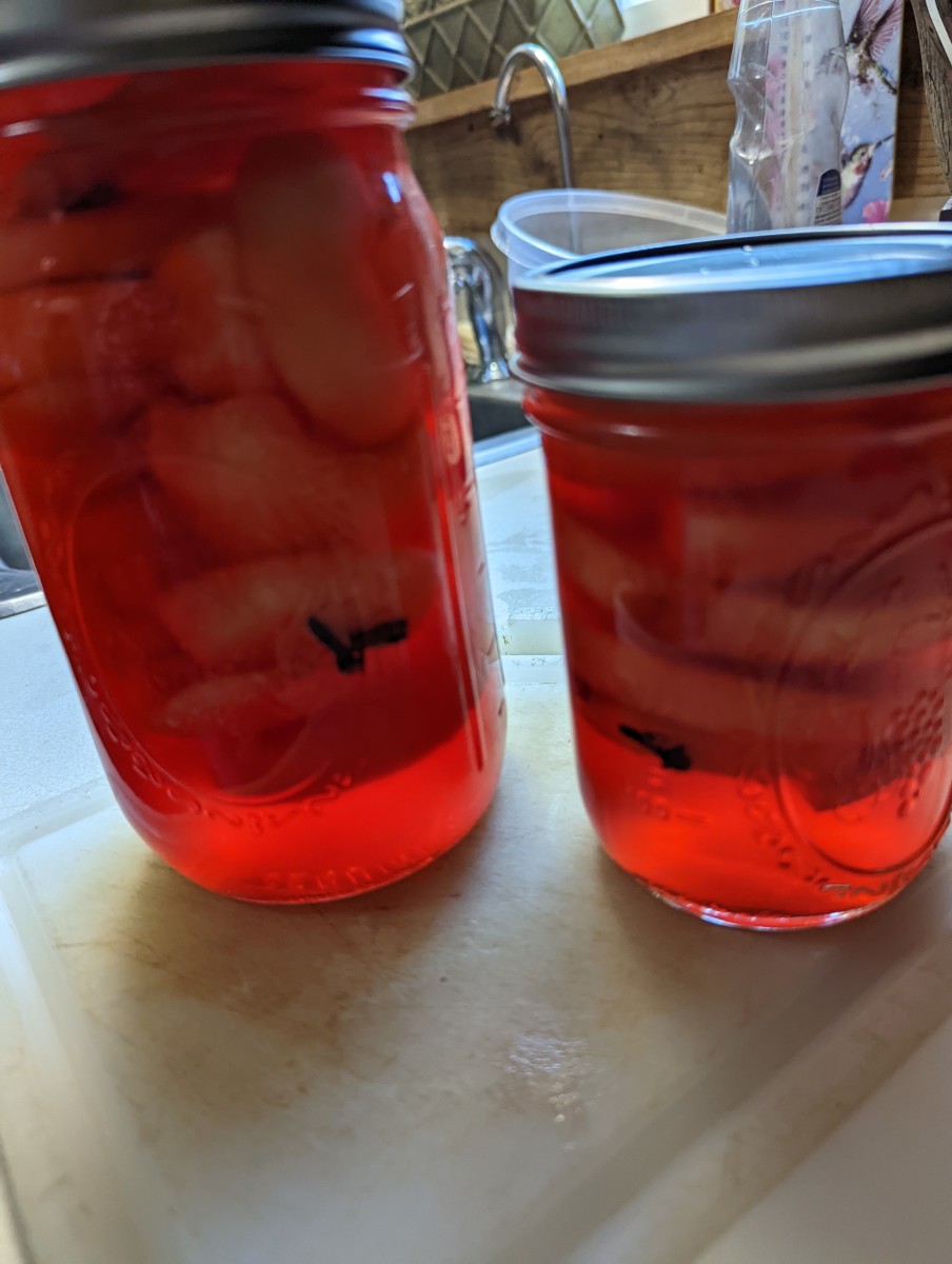 Apple Rings in a Red Hot Candies Syrup