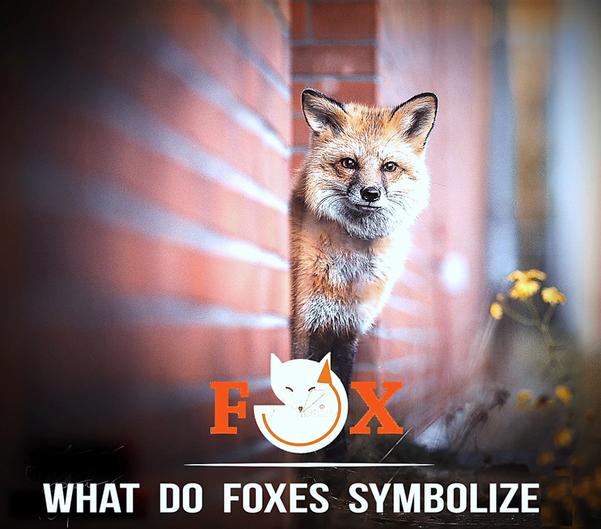 What do Foxes Symbolize?