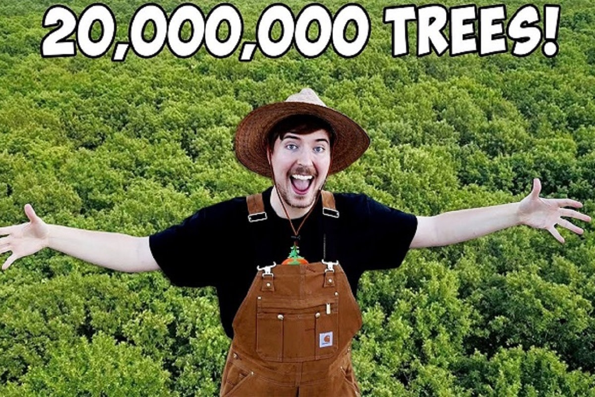 Is #TeamTrees Bad for the Planet?