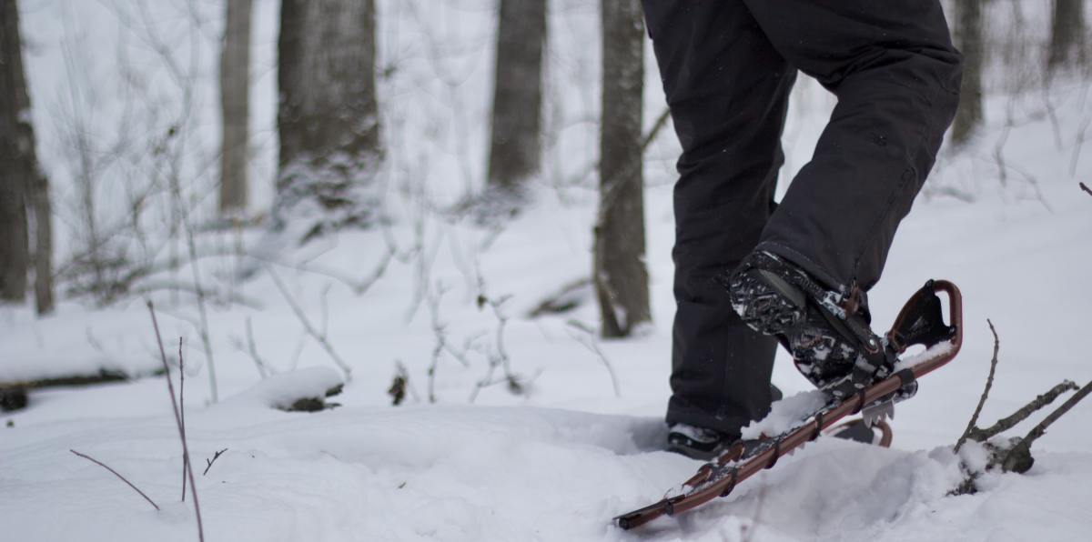 Here is a detailed comparison of MSR's snowshoes.  