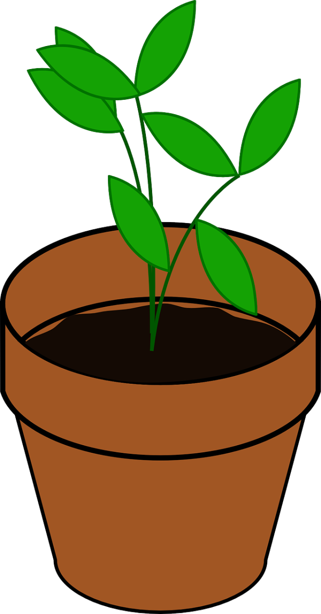 how-to-save-money-on-potting-soil
