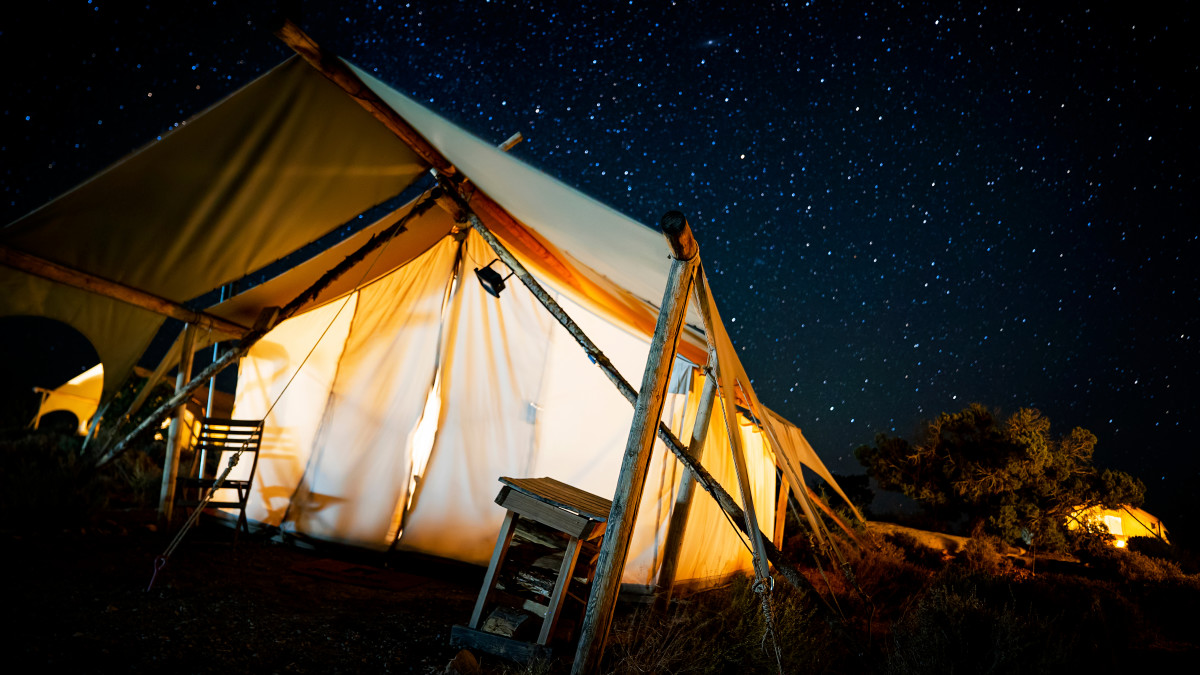 Woman's Unexpected Overnight Visitor at a Campground in Utah Is an ...