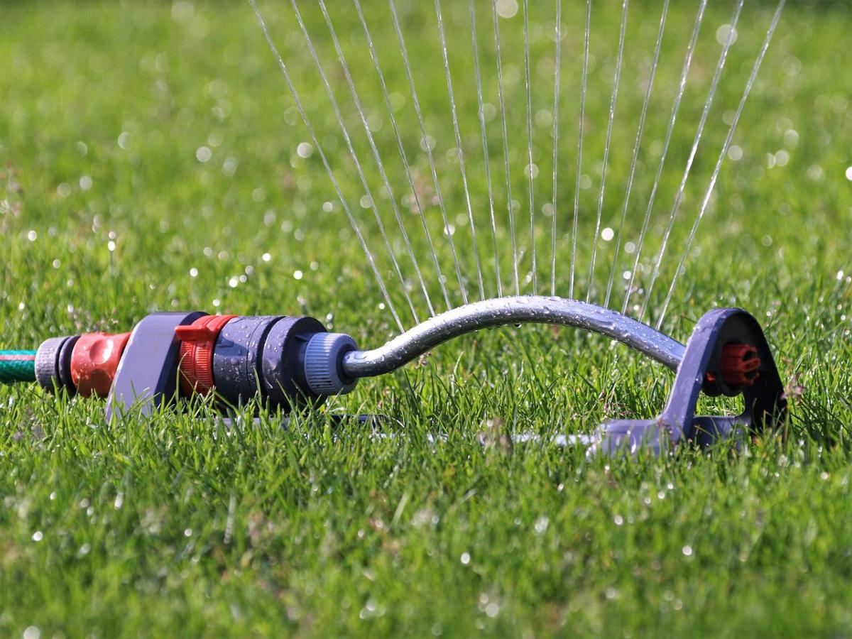 how-to-save-money-on-watering-lawn