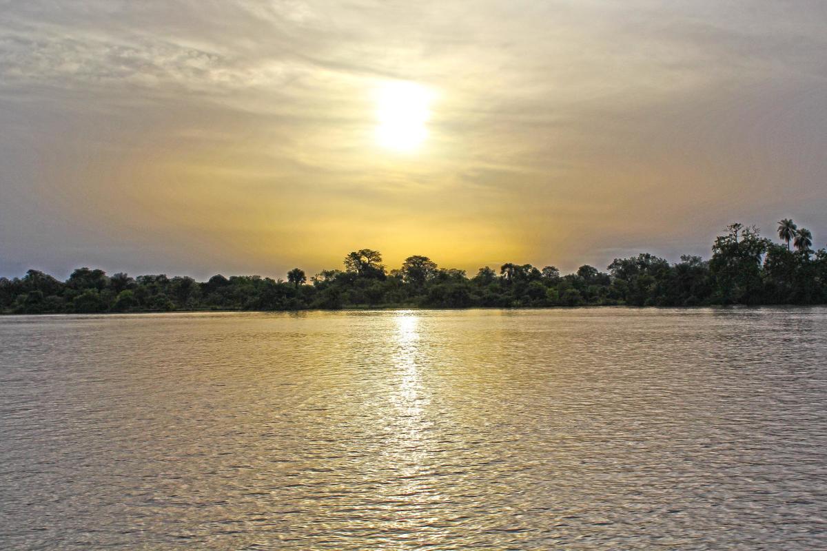 Travel Guide :The Top 10 Reasons to Visit the Gambia