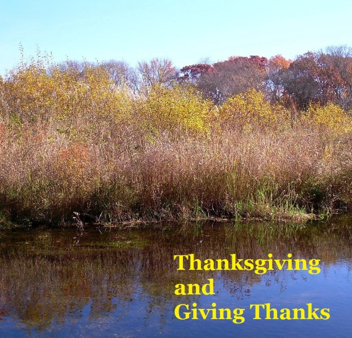 Thanksgiving and Giving Thanks