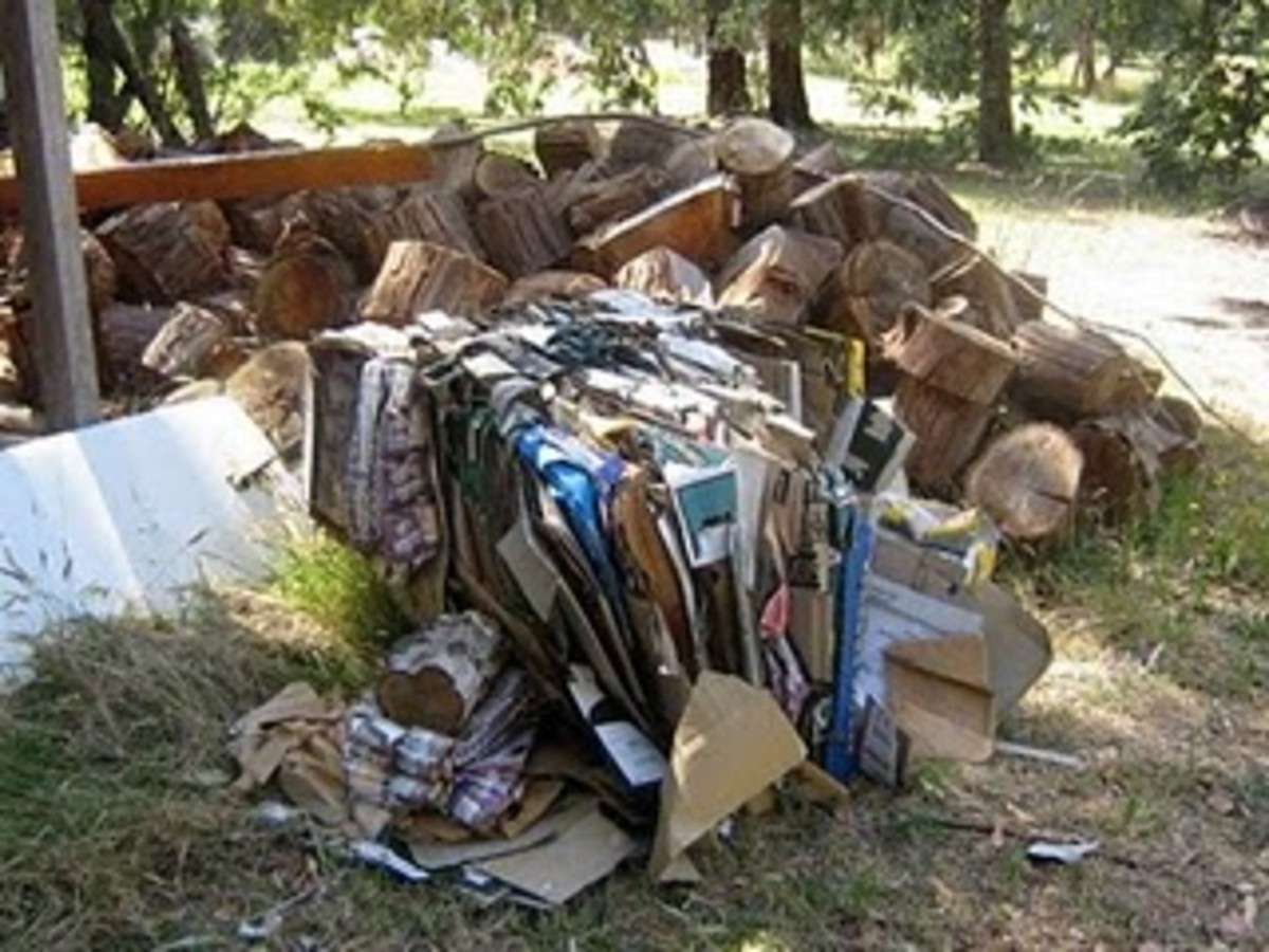 6 Recycled Materials Used to Build Houses (Including Used Wood!)