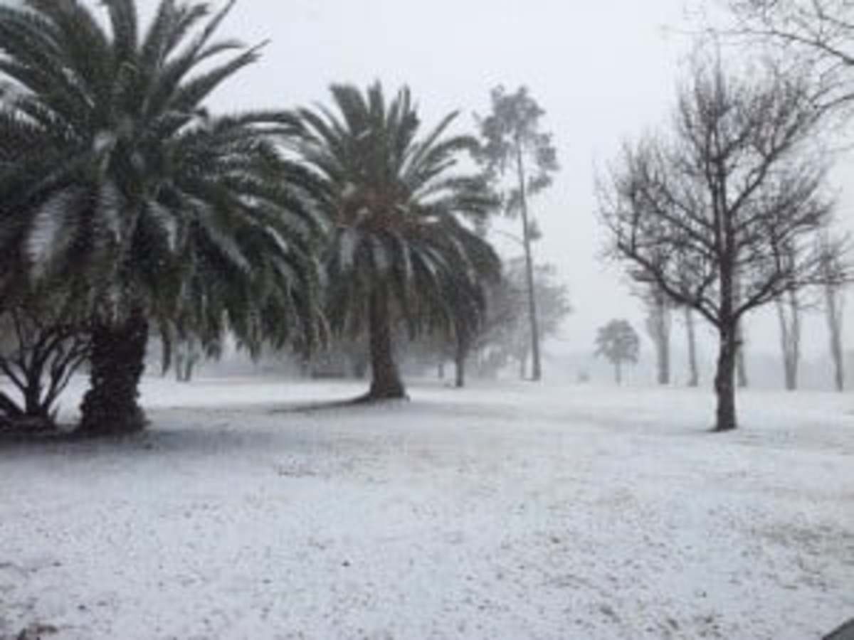 @ Modderfontein ~~ http://www.nanima.co.za/2012/08/snow-in-roshnee-and-surrounds/20120807_123822/