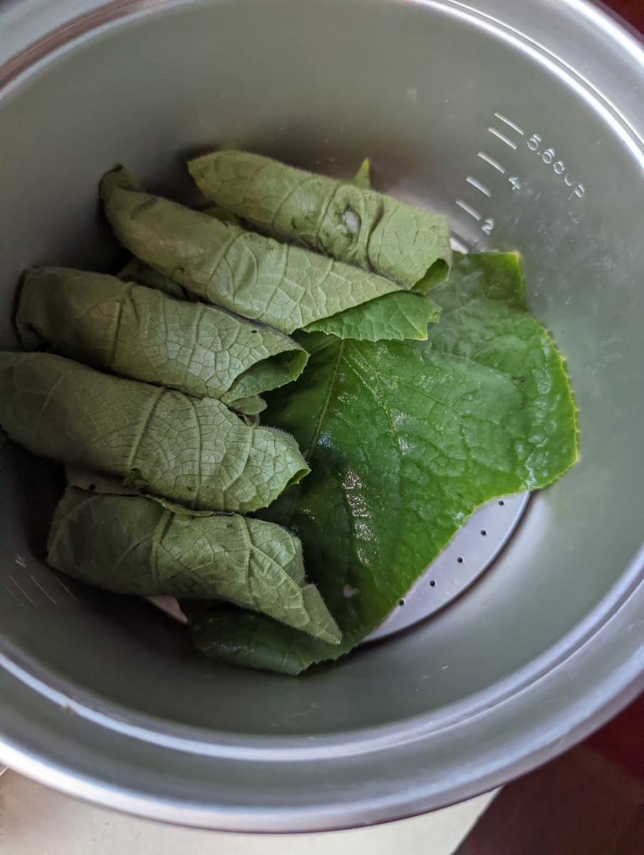 stuffed-cucumber-leaves