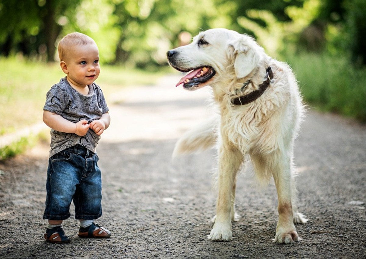 Always supervise children around pets for safety and help the child grow up without a fear of animals.