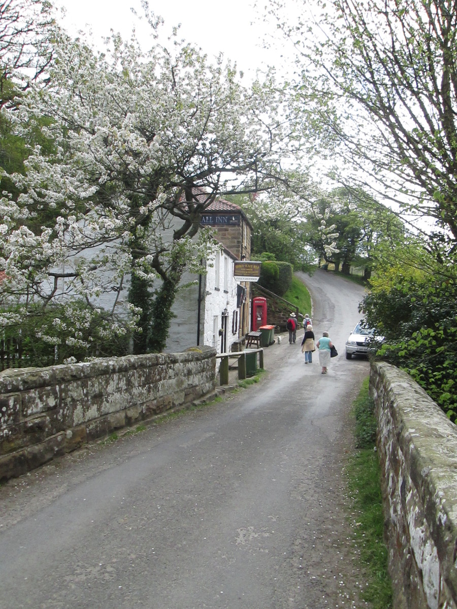 A look back from the bridge towards the steep bank (25% or 1 in 4) that leads back to Goathland.- that climb left past the Birch Hall Inn is pretty steep (1:4). Fortify yourself! first 