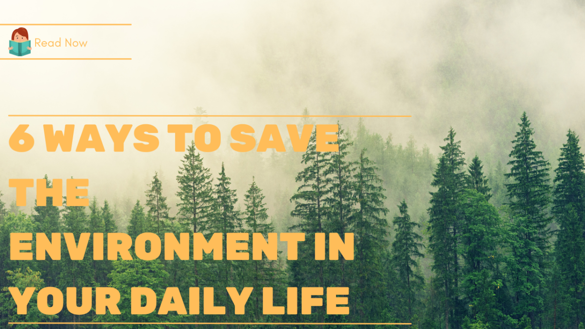6-ways-to-save-the-environment-in-your-daily-life