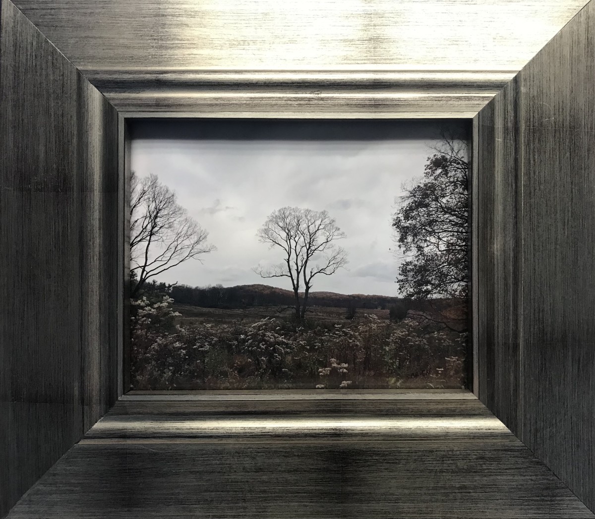 Photograph and framing by Sarah O’Brien 