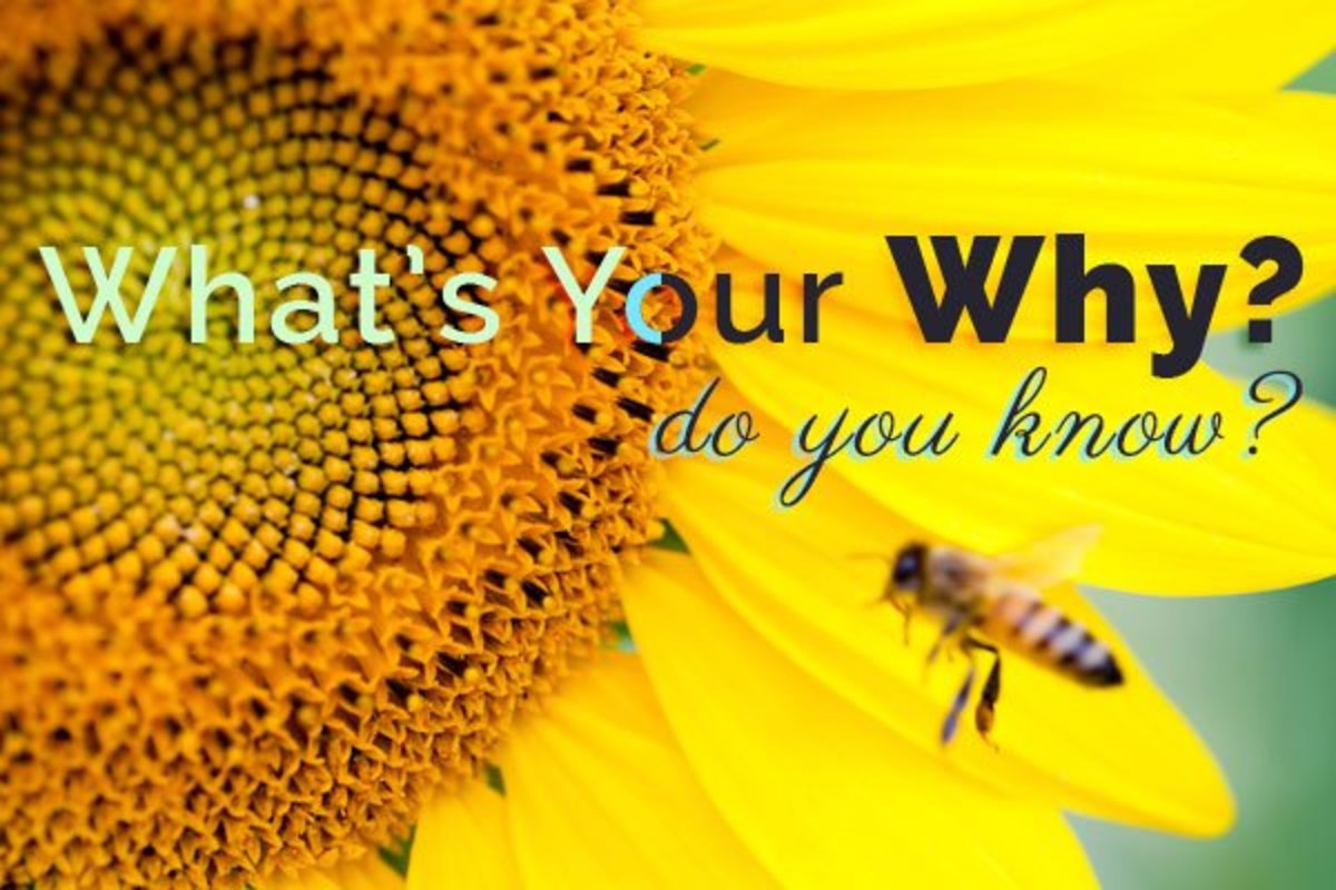 What’s Your ‘Why?’ Do You Know? Questions to Find Your Purpose
