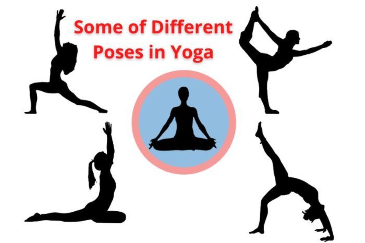Top 7 Yoga Poses for Beginners & Benefits - Himalayan Yoga Association (Yoga  Ashram)