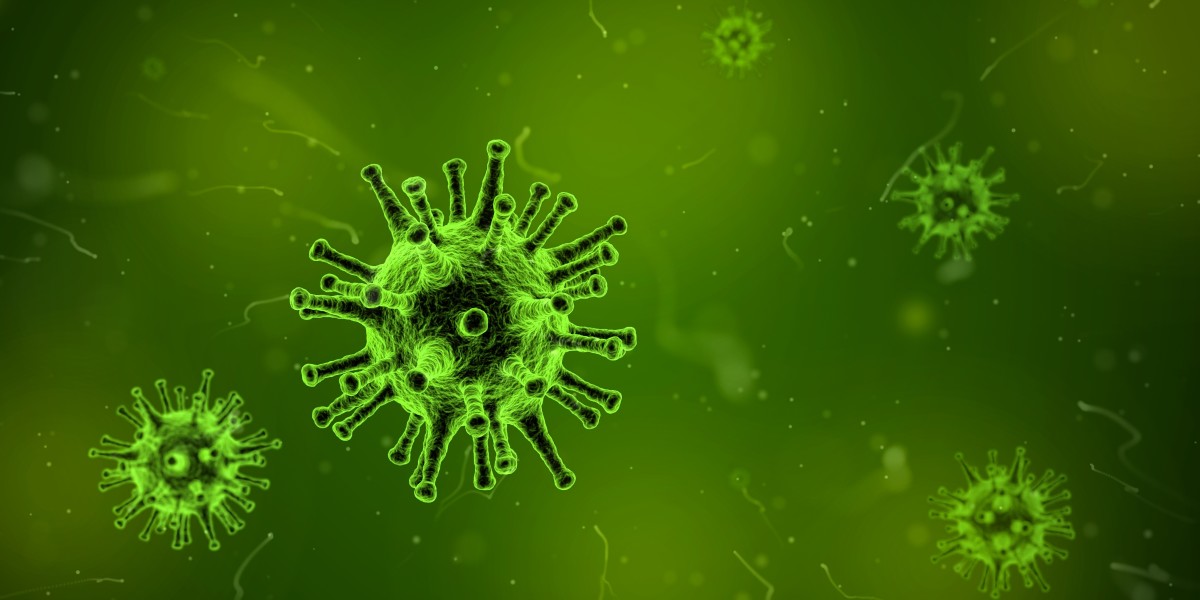 Unlike bacterial infections, viral infections do not respond to antibiotics.
