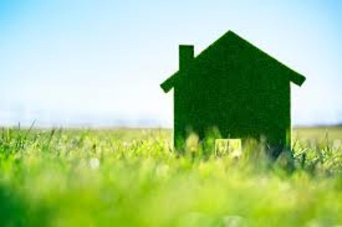 How to Make Your Home Greener in 5 Easy Steps