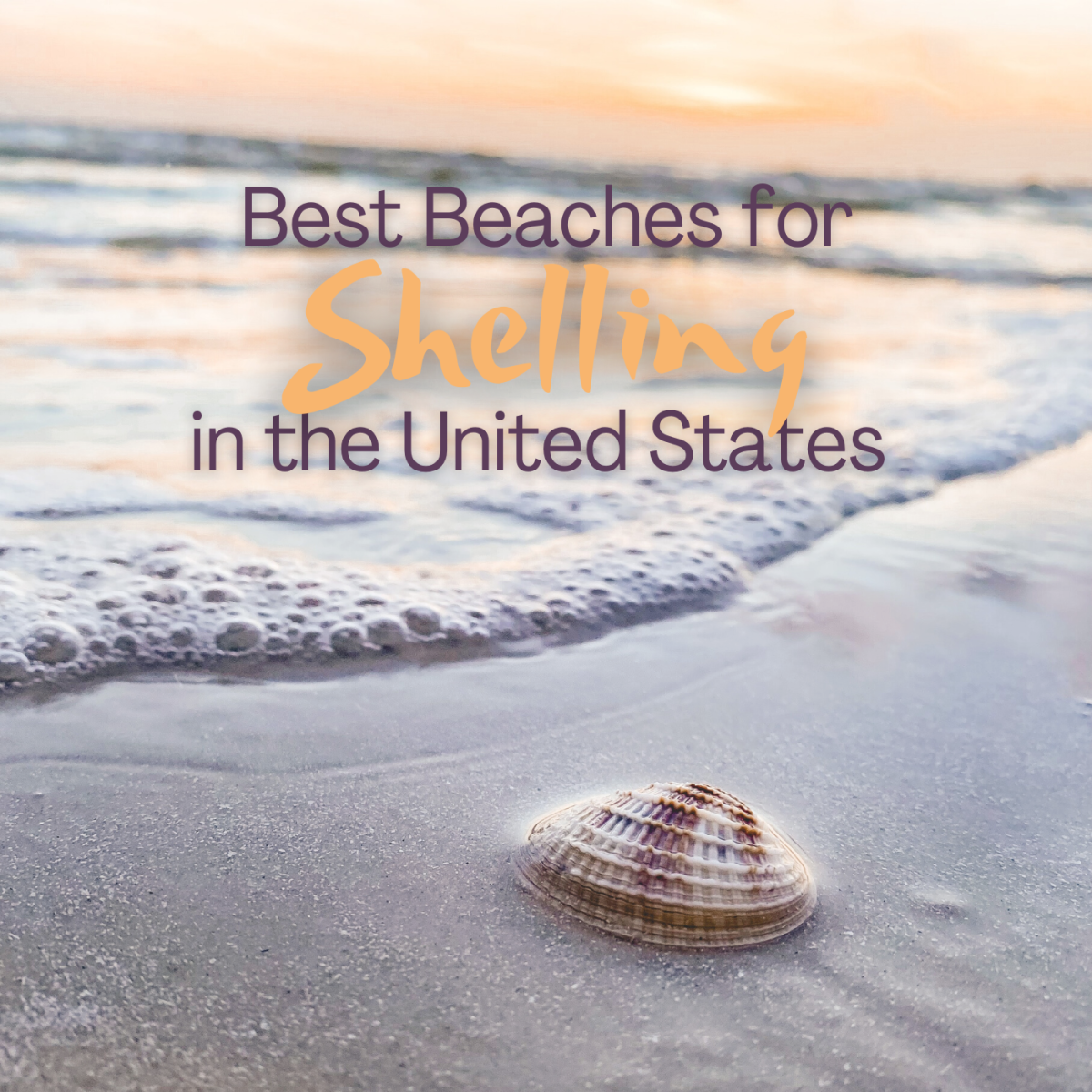 Best Beaches for Shelling in the U.S., From California to Florida