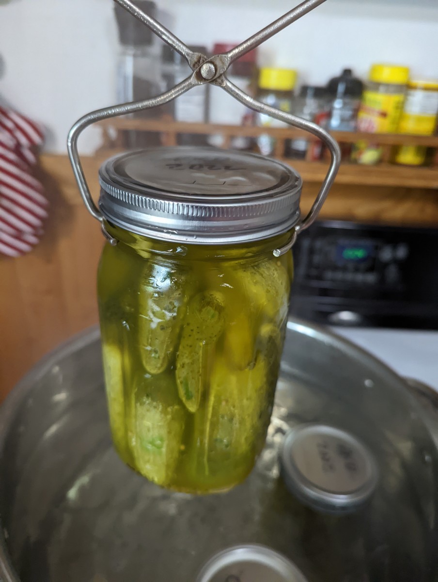 mrs-wages-pickle-making-water-bath-canning
